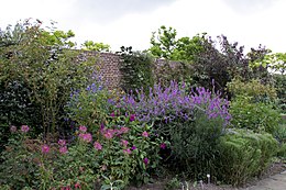 a flowerbed of purple flowers against a brick wall