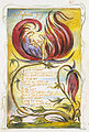 Songs of Innocence and of Experience, copy Y, object 25 Infant Joy ‎