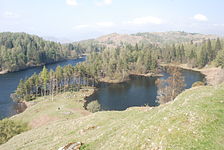 File:Tarn Hows.JPG (Tarn Hows)