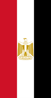 العلم المصري عمودياً