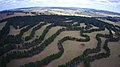 Image 67Contour planting integrated with animal grazing on Taylor's Run farm, Australia (from Agroforestry)