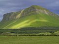 Ben Bulben, Co.Sligo. Templeton collected rare plants here.