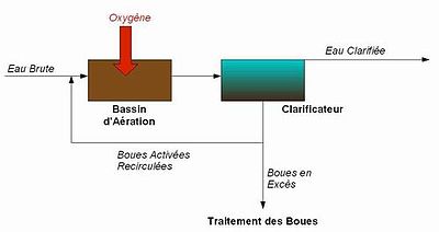 Boues activés