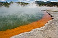 Champagne Pool o Piscina de champán es un lago natural de aguas calientes ubicado en la Isla Norte de Nueva Zelanda, específicamente dentro de la zona termal de Wai-O-Tapu. Su nombre deriva de las abundantes emanaciones de dioxido de carbono (CO2) que emite y que evocan a un vaso de champaña burbujeante. Los depósitos de oropimente y estibina originan el color anaranjado de los bordes, mientras que el tono grisáceo presente en las orillas se debe a la abundancia de sílice. El lago se formó hace unos 900 años y sus aguas más profundas pueden alcanzar una temperatura aproximada de 260°C. Por Chmehl.