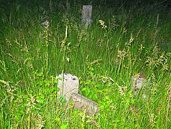 Remains of the German cemetery in Nowy Lubusz