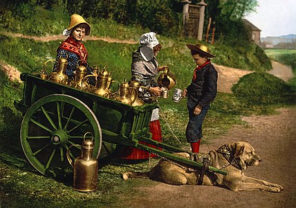 Dogcart, by the Detroit Publishing Company (edited by Durova)