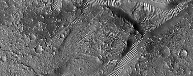 Transverse Aeolian Ridges (TAR's) as seen by HiRISE through HiWish program. TAR's are visible in the low areas.