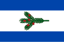 Drapeau de Tisá