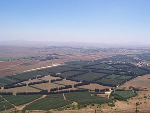 הגבול בין ישראל לסוריה ברמת הגולן