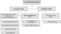 Vorschaubild der Version vom 09:26, 30. Jul. 2007