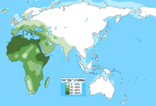 ハプログループEの分布図