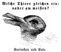 "Rabbit and Duck" from Fliegende Blätter (1892)