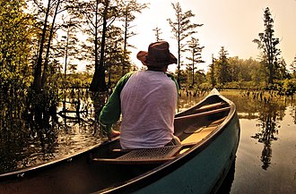 A canoeist on the Cache River