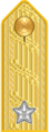 Shoulder mark on uniform m/1910 (1910–1923)