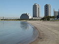 Les tours de l'Odaiba Seashore Park