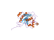 2fyb: Crystal structure of the catalytic domain of the human beta1,4-galactosyltransferase mutant M339H in complex with Mn and UDP-galactose in open conformation