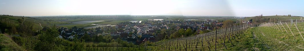 Panorama de Müllheim.