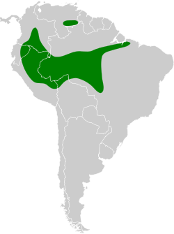 Distribución geográfica del ticotico alicastaño.