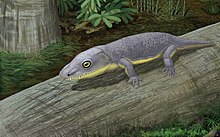 Artist's reconstruction of Phonerpeton