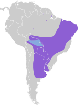 Distribución geográfica del fiofío suirirí.