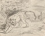 Trapped tiger (1854) by Eugène Delacroix