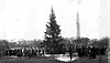 The first U.S. National Christmas Tree, Christmas Eve 1923