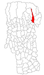 Location in Argeș County