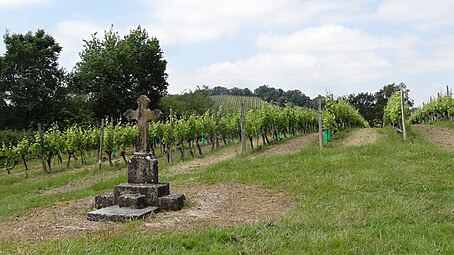 Croix et vignes.