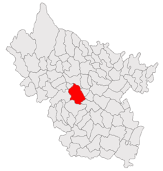 Location in Buzău County