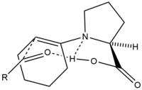 A six-membered transition state in asymmetric proline catalysis.