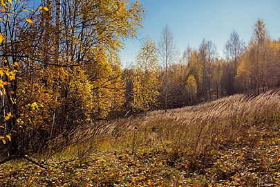 Ильинская балка осенью