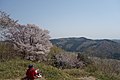 仙元山東方向の眺め