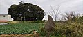 日枝神社（朝盛碑越しに、墓石は画面右側）