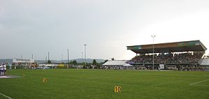 Die Dimmi-Arena beim AFL-Grunddurchgangsspiel der Danube Dragons gegen die Vienna Vikings (2010)