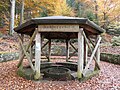 Rehbergquelle am Rehberg (Wasgau)