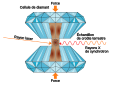 Schéma du principe d’une cellule à enclumes de diamant.