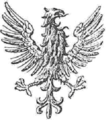 Aquila rivoltata