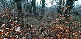 Grundmauerreste von Gebäuden im Osten des südlichen Teils der Burgstelle