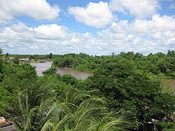 Photograph of Canje River, Guyana