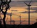 Image 47The Australian Canunda Wind Farm, South Australia at sunrise (from Wind farm)