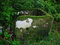 'Side' view of the possible primitive cheese press with holes visible.[7]