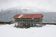 Bacalao colgado para su secado en Lyngenfjorden, Noruega.