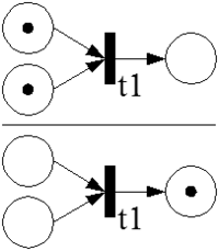 عملية and بشبكات بتري.