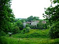 La châtaigneraie limousine en Haute-Vienne.