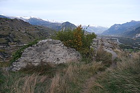 Small stone wall in the middle of tall grass.