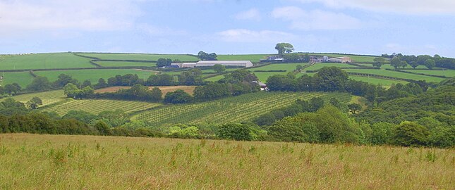 Haywood Farm orchards with Kellow's Farm in background.