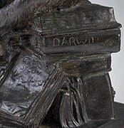 Detail showing pile of books and "Darwin" spine