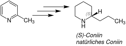 Übersichtsreaktion der Ladenburg-Synthese