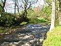 A dike on the Lugton Water near old Montgreenan castle.