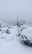 Snow in north Scottsdale on February 22, 2019 (Scottsdale, Arizona)